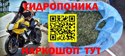мяу мяу мука Гусь-Хрустальный