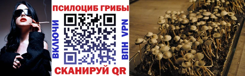 Галлюциногенные грибы Psilocybe  blacksprut зеркало  Ипатово 