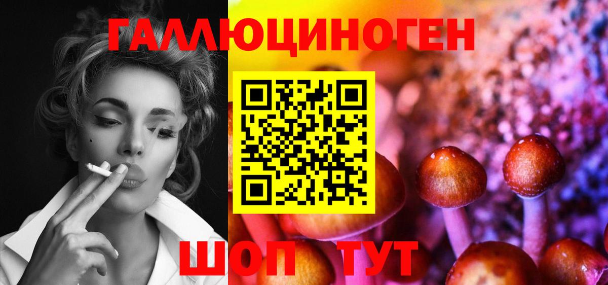 Псилоцибиновые грибы прущие грибы Ипатово
